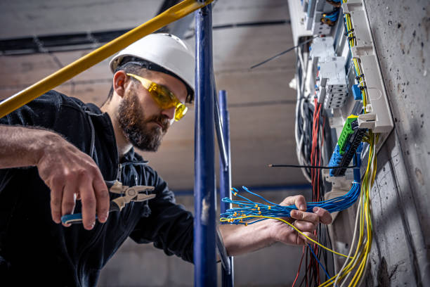 Best Electric Panel Repair  in De Soto, MO